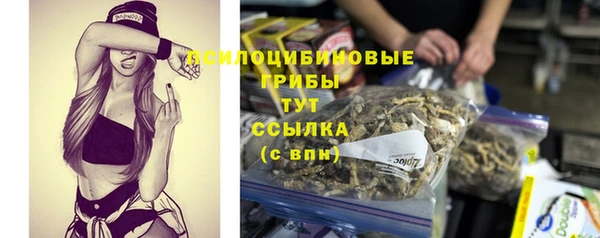 бутират Каменногорск