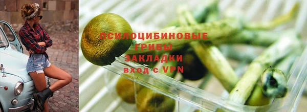 бутират Каменногорск