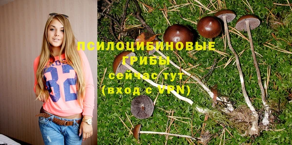 дурь Инсар